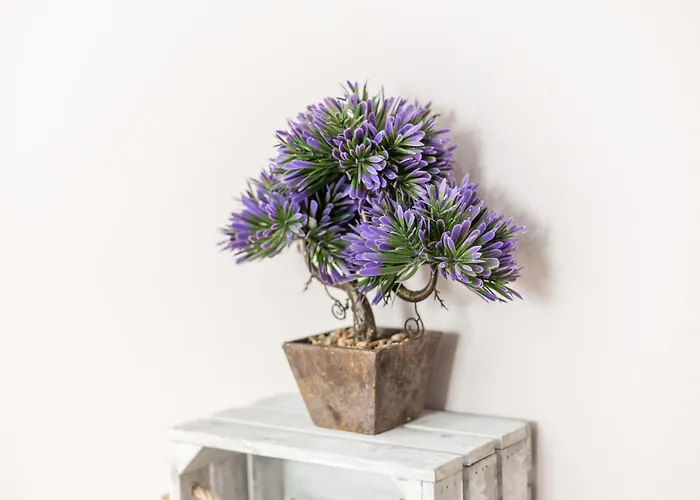 Appartement Claudia *