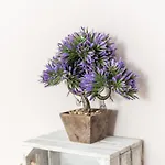 Claudia Conil De La Frontera