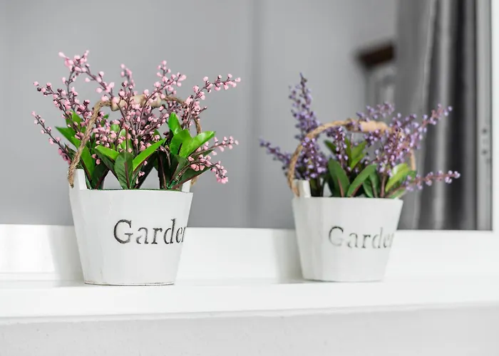 Claudia Apartamento *